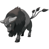 Paldean Tauros